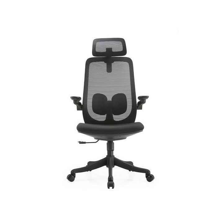 Ergonomic Office Chair