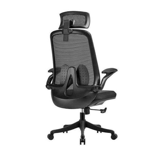 Ergonomic Office Chair